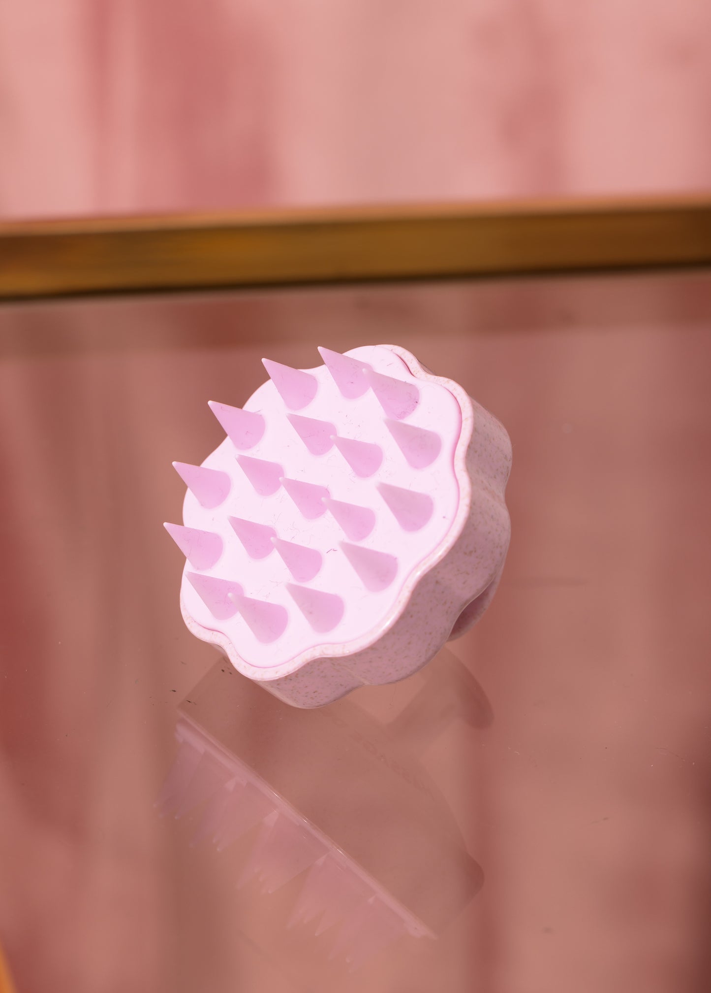 Scalp Brush