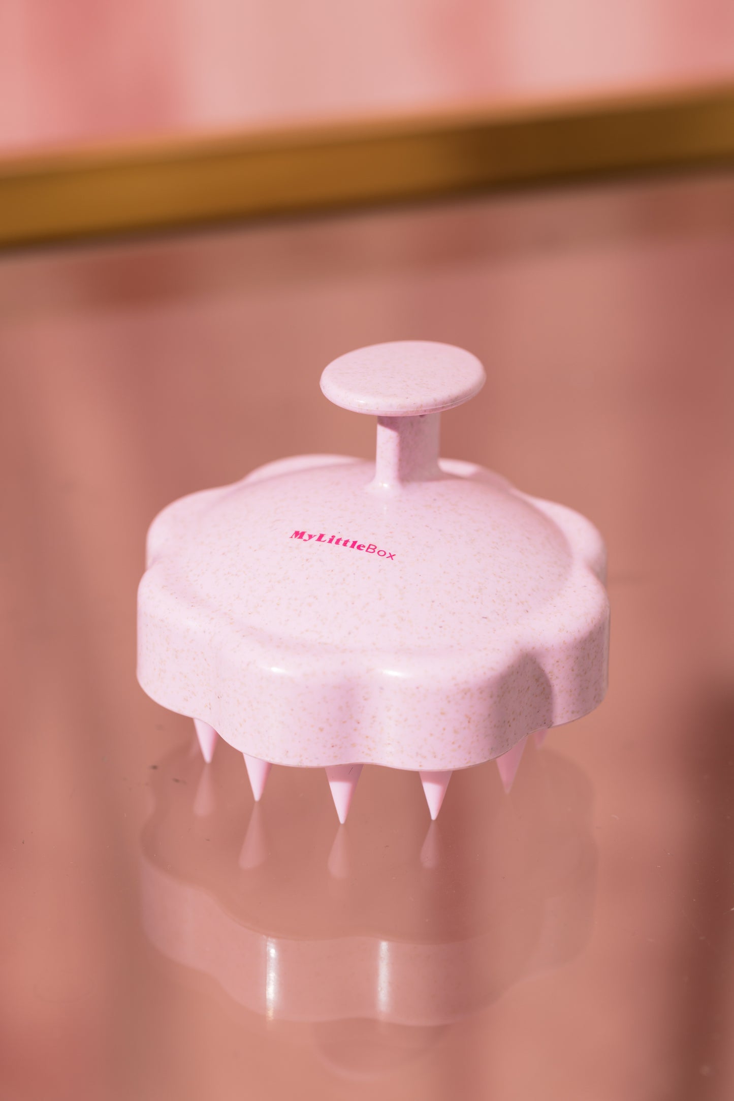 Scalp Brush